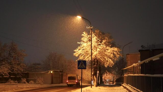 Urban snowy winter night scene with cars moving away on snow-covered road, tall tree lit by street lamps, and flashing yellow traffic light, uhd, 4k, 3840, 2160