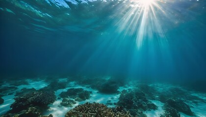 Fototapeta na wymiar underwater view of a coral reef