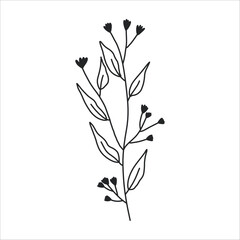 Obraz premium Black silhouette of a plant branch. Flower branch in outline style hand drawn on isolated white background. Vector stock illustration. Tropical leaves. Minimal line art for print, cover or tattoo. 