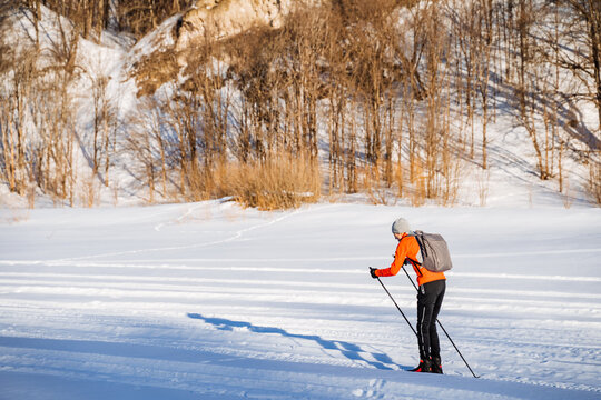 Side view of skier who rolls on snow pushing with poles, man with backpack on walk in winter forest.