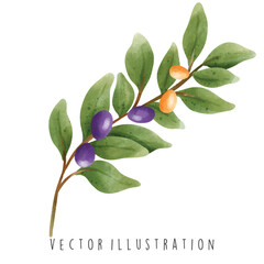 Watercolor Happy Hanukkah with olive. Vector Illustration