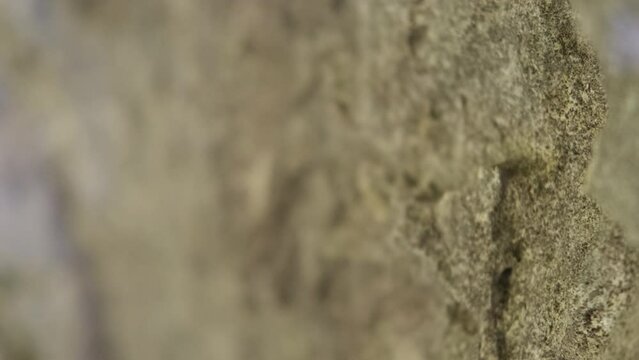 Close-up of the shoes of a rock climber climbing a cliff