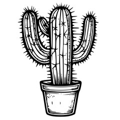 plant, flower, vase, cactus, nature, pot, isolated, decoration, bouquet, glass, green, object, spring, flowers, botany, wheat, leaf, tree, floral, color, art, vector, illustration, symbol, design, ico