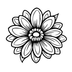 plant, flower, vase, cactus, nature, pot, isolated, decoration, bouquet, glass, green, object, spring, flowers, botany, wheat, leaf, tree, floral, color, art, vector, illustration, symbol, design, ico