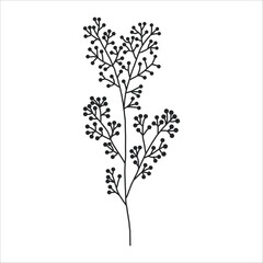 Black silhouette of a plant branch. Flower branch in outline style hand drawn on isolated white background. Vector stock illustration. Minimal line art for print, cover or tattoo.