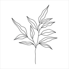 Black silhouette of a plant branch. Flower branch in outline style hand drawn on isolated white background. Vector stock illustration. Tropical leaves. Minimal line art for print, cover or tattoo. 