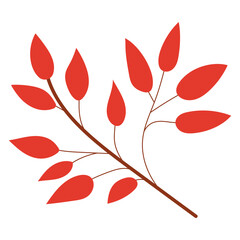 Leaf plant element for beautiful design. Simple form. Vector drawing.