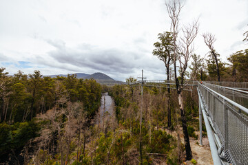 Fototapeta premium Tahune Airwalk in Tasmania Australia