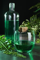 Absinthe in glass, spoon with brown sugar cubes and fern leaves on gray table against black background. Alcoholic drink