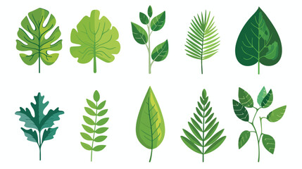 Leaf plant isolated icon Flat vector