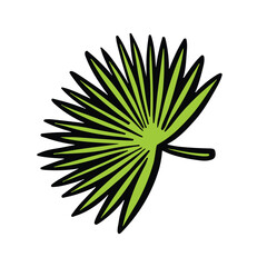 palm leaf green simple, vector illustration hand drawn