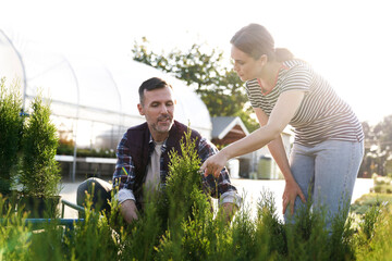 Worker advising the client over plants in garden center