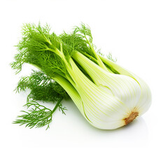 Fennel on isolated white background - ai generative