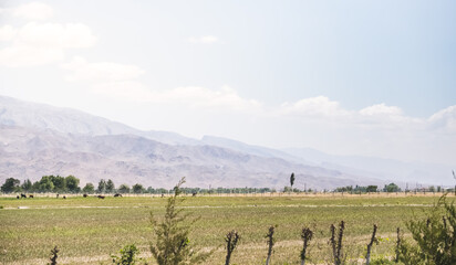 Panorama of mountain ranges and peaks of the Fan Mountains with glaciers, rocks and vegetation in...