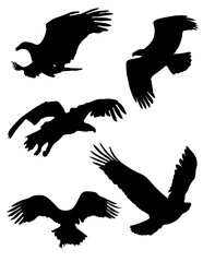 Eagle Silhouettes