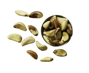 브라질 너트 Brazil nut
