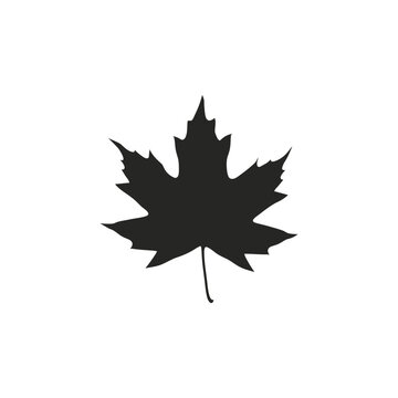 maple leaf silhouette vector
