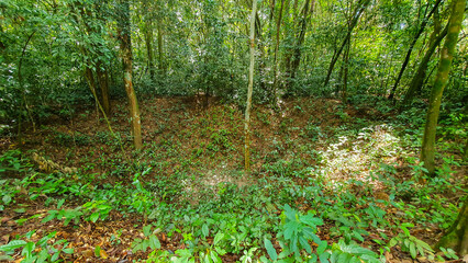 A Bomb Crater Made By A High Explosive Bomb Dropped By A B-52 Aircraft At Cu Chi Tunnels In Ho Chi Minh City, Vietnam.