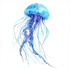 Jellyfish water color style,isolate on white,Clip art