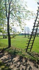 Leiter am Hochsitz in Butterlake bei Brandenburg