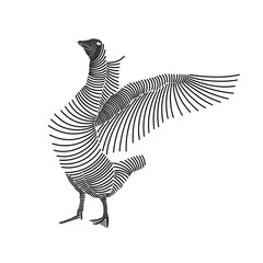 Simple line art illustration of a swan 1