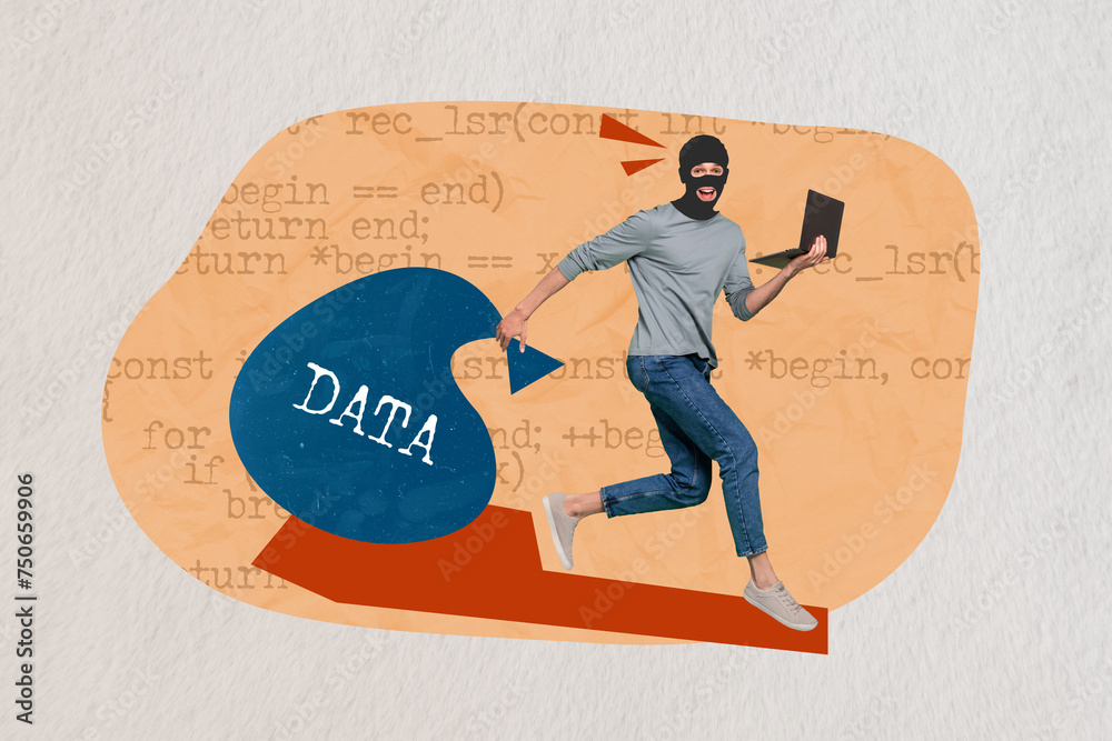 Poster photo collage picture of robber young man in mask jumping with bag private information users hacker 
