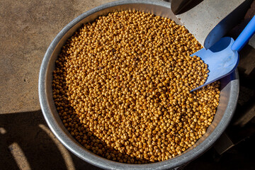 Oven-roasted, fresh chickpeas ready for sale.