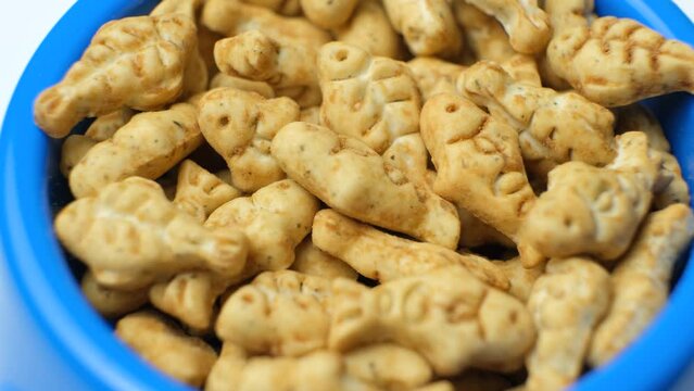 Biscuits for cats and kittens with catnip in the composition in the shape of fish in a cat bowl rotate close-up.