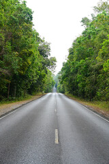 old asphalt road in forest ,thailand