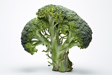 a broccoli plant with a white background - Powered by Adobe