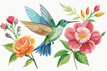 A watercolor of a Super Cute Fluffy a Hummingbird Illustration