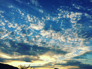 Obraz premium the sunset and the sheep's clouds