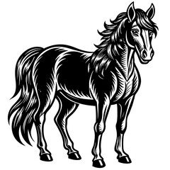 Obraz na płótnie Canvas Horse colt filly mare stallion bronco foal gelding mustang nag plug pony steed animal pet vector illustration draw cartoon pretty cute