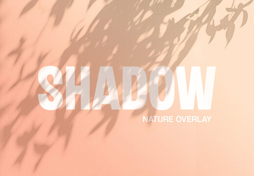 Sunrise Shadow Texture Overlay On The Wall