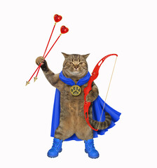 Cat in blue cloak with bow and arrows - 750683728