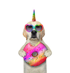 Dog labrador unicorn with rainbow donut - 750683739