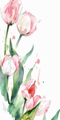 Watercolor Painting of Tulips on the Corners and Margins - White Tulips with Pink Inlays and Pointed Tips - Big Brushstrokes Impressionist Style Tulips Wallpaper created with Generative AI Technology - obrazy, fototapety, plakaty