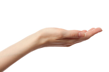 Female hand on a white background - 750696127