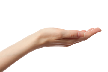 Female hand on a white background