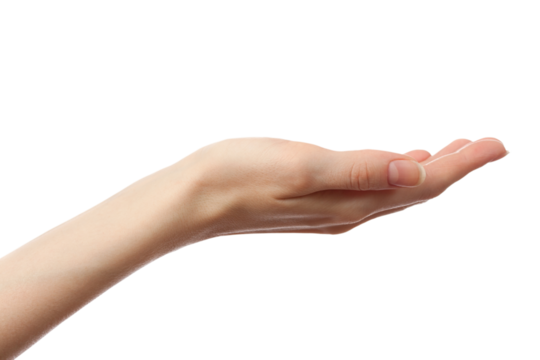 Female hand on a white background