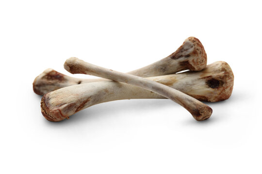 Chicken bones on white background