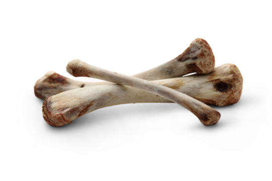 Chicken bones on white background