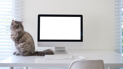 A cute cat sitting near blank computer monitor on wooden table against wall.