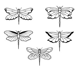 Dragonfly outline symmetrical Vector SVG