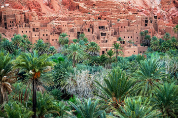 Palm tree oasis with ruins in the background in Tinghir, Morocco