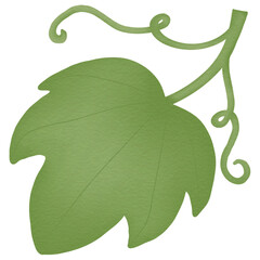 green leaf isolated on white