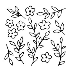 Set of floral elements. Branches with leaves, small flowers. Simple black outline vector drawing.