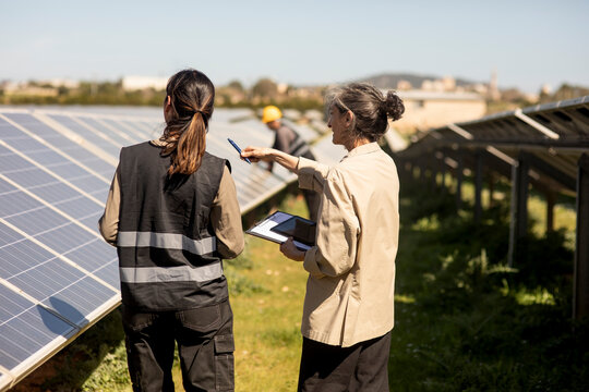Senior female entrepreneur pointing by engineer standing near solar panels in field
