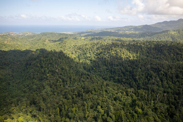 Fototapeta na wymiar An aerial view of the thick vegetation in a rural area of Dominica