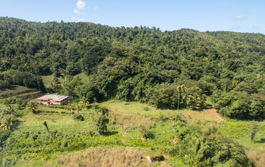 Fototapeta na wymiar An aerial view of the thick vegetation in a rural area of Dominica